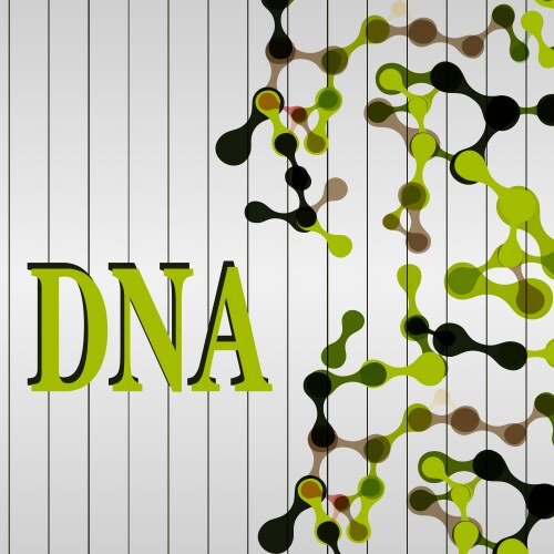 molecular structure medical background vector image vector image