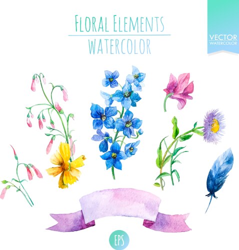 Watercolor Floral Set Vector Image