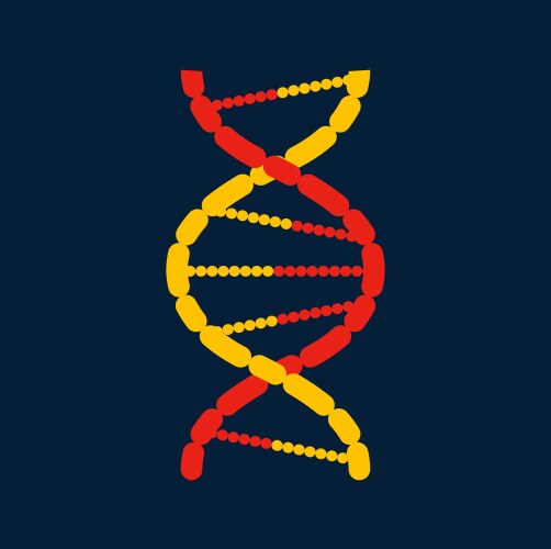 genetic code twisted dna molecule isolated icon vector image