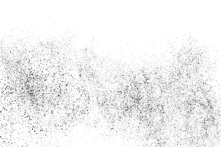 black grainy texture isolated on white vector image