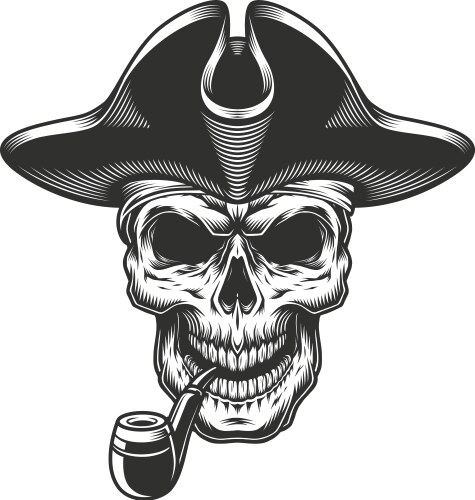 Pirate Skull with Beard Vector Image