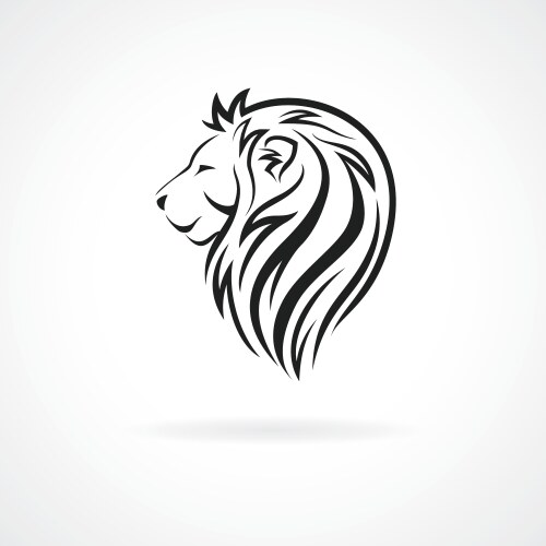 Lion Head Logo Template Vector Image