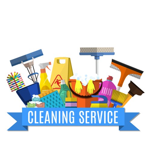 Professional cleaning service isometric banners Vector Image