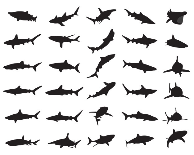 Black Shark Silhouettes Vector Image
