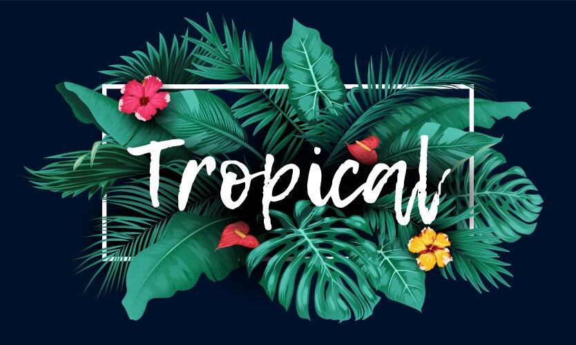 tropical  フランス語　黒枠　インクド② 13-1802_1__1500x1500_RGB_1400x
