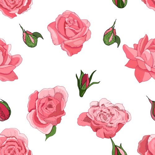 Flowers seamless border isolated on white Vector Image