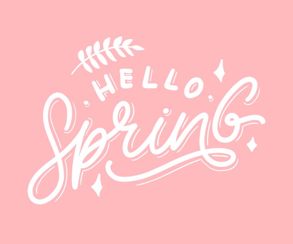 hello spring flowers text background frame vector image