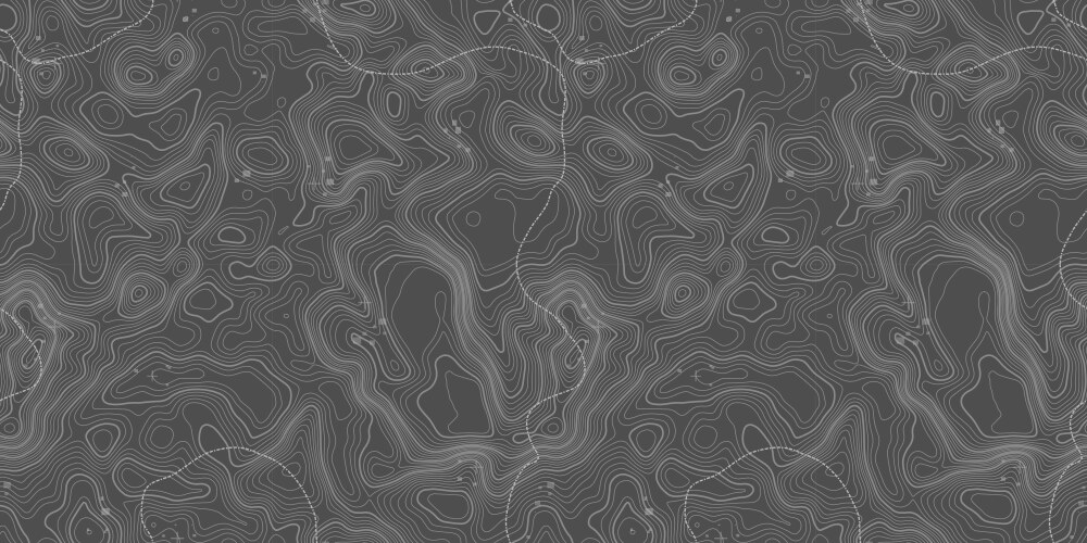 Seamless pattern topographic map background vector image