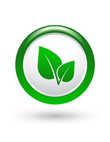 Round icon with leaf Royalty Free Vector Image
