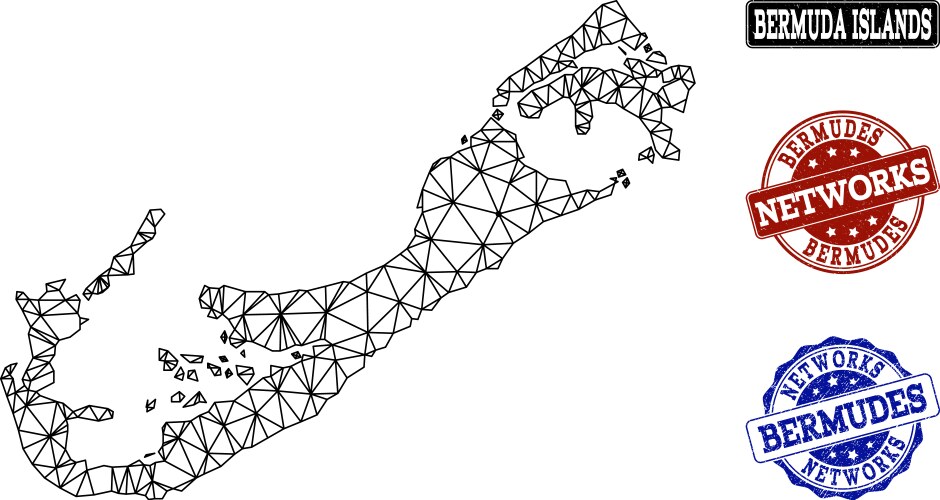 Polygonal network mesh map of bermuda vector image