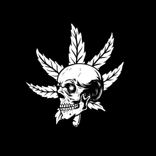 Skull with marijuana leaf design element for logo Vector Image