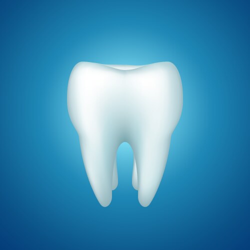 White tooth with blue background Royalty Free Vector Image