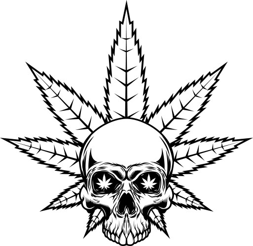 Skull with marijuana leaf design element for logo Vector Image