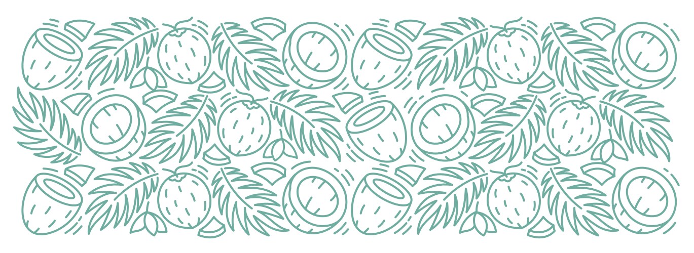 Coconut line rectangular background pattern palm vector image