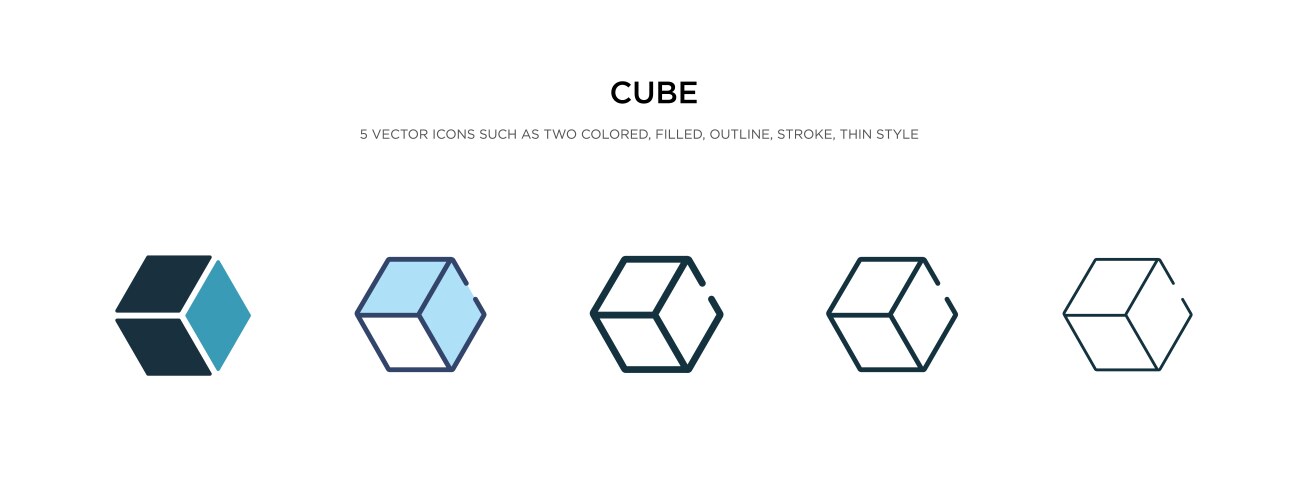 Cube icon in different style two colored vector image