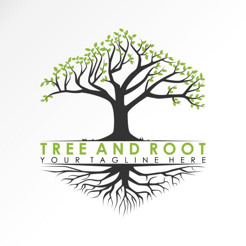 Hexagon Tree and Root Logo Vector Image