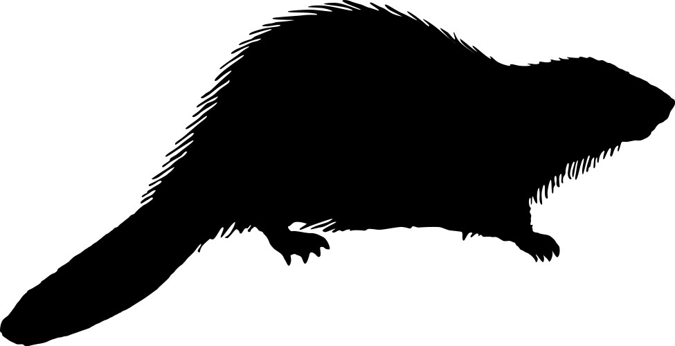 Black Beaver Silhouette Vector Image