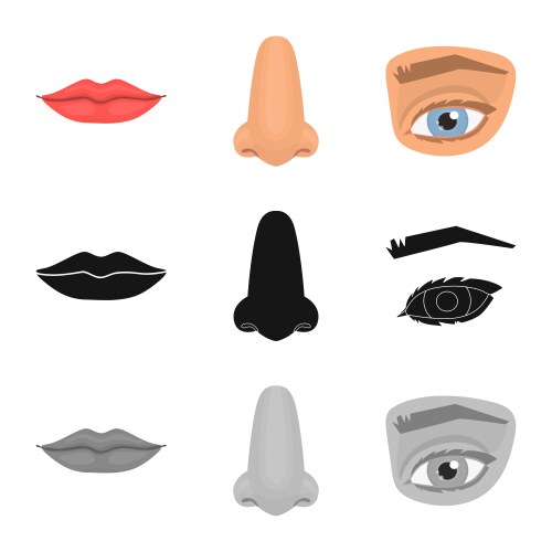 Isolated object body and part icon set vector image