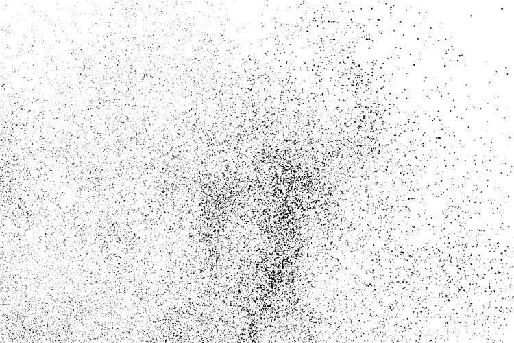 black grainy texture isolated on white vector image