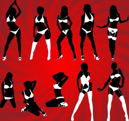 sexy lingerie vector image vector image