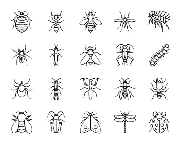 danger insect charcoal draw line icons set vector image vector image