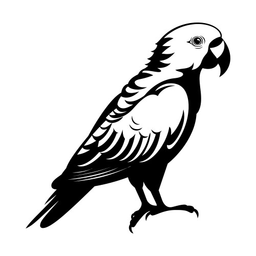 Parrot silhouette clipart on a white background Vector Image