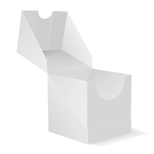 Mock up of the packing box a with an open lid vector image