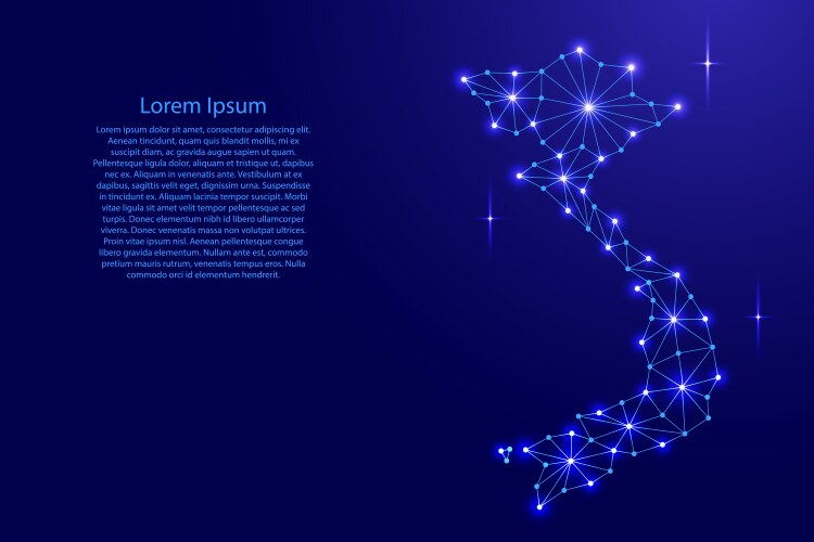 Vietnam Polygonal Network Map Vector Image