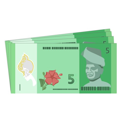 Malaysia ringgit bundle banknotes money stack Vector Image
