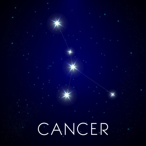 Constellation cancer zodiac sign astrology vector image