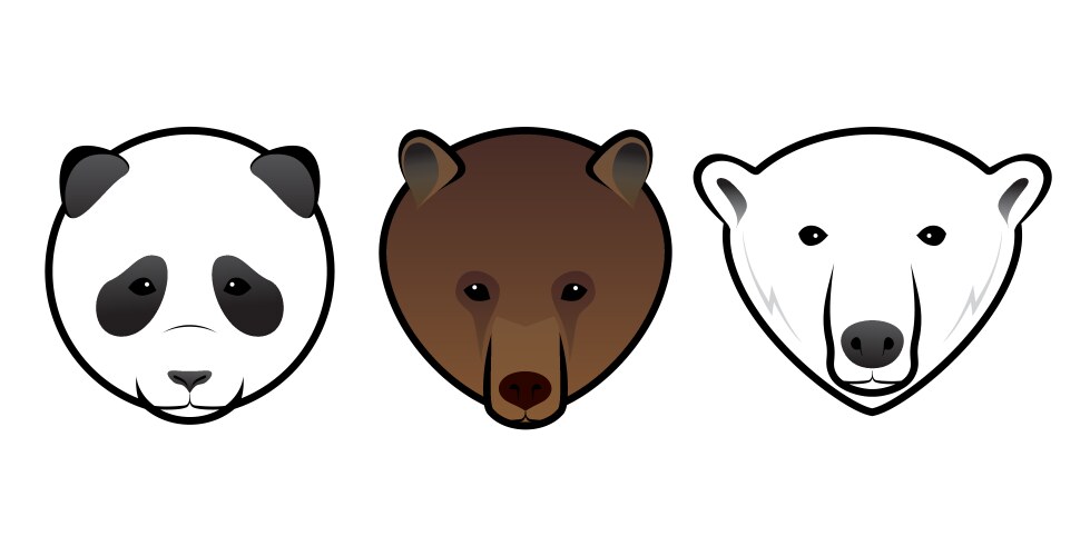 bears vector