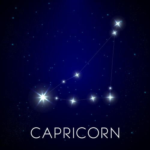 Constellation capricorn zodiac sign in night vector image