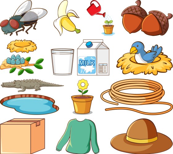 large set different animals and other objects vector image