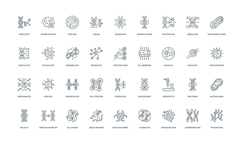 Bioinformatics Vector Images & Graphics for Commercial Use | VectorStock