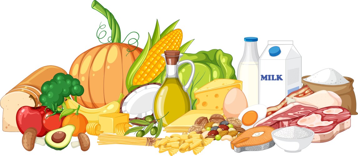 five food groups isolated vector image vector image