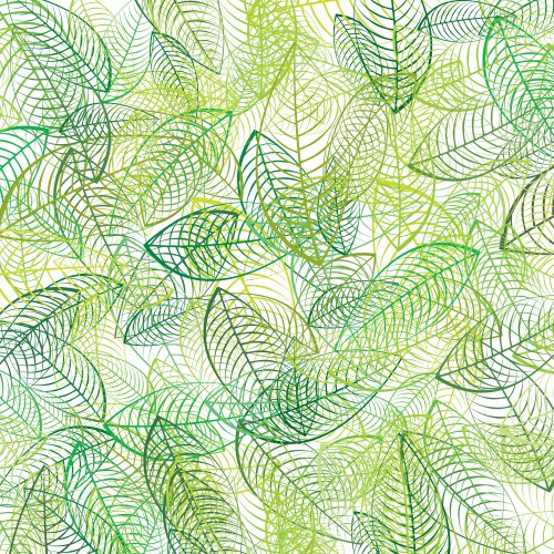 Fresh green leaves background Royalty Free Vector Image