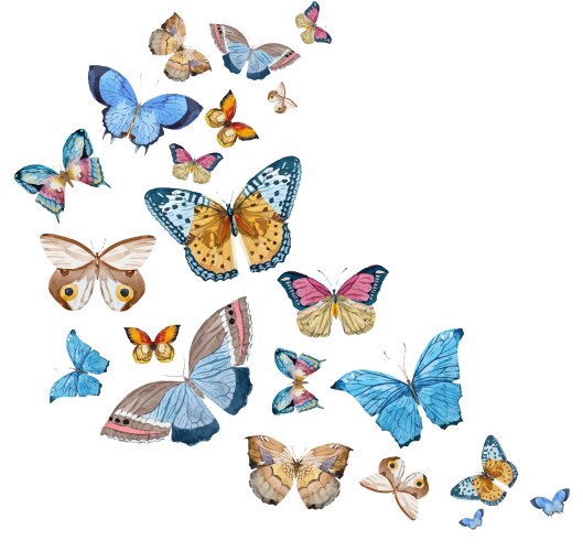 Watercolor Butterfly Art Vector Image