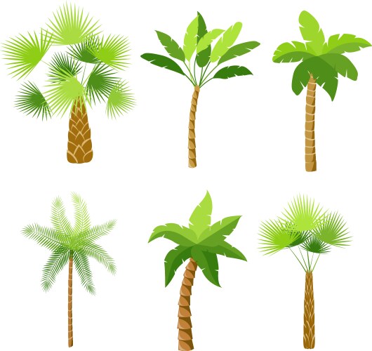 Palm Tree Icon Set - Tropical Style Vector Image