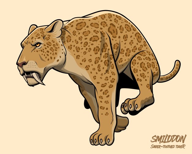 Saber Tooth Tiger Vector Images (over 390)