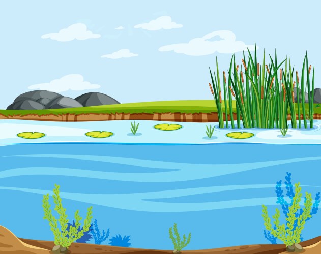 Calm Pond Scene Royalty Free Vector Image Vectorstock