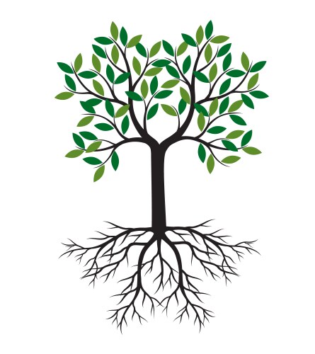 shape of tree with leaves and roots outline vector image