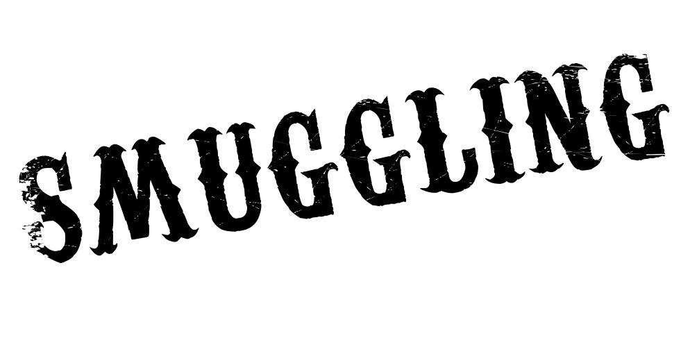 Smugglin Smuggling Vector Images & Graphics for Commercial Use | VectorStock