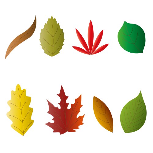 Autumn leaves vector image