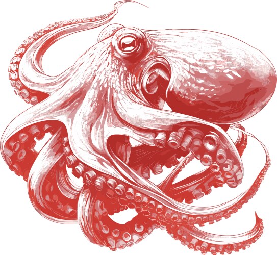Octopus marine invertebrate animal tentacles Vector Image