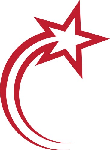Star shine logo Royalty Free Vector Image - VectorStock