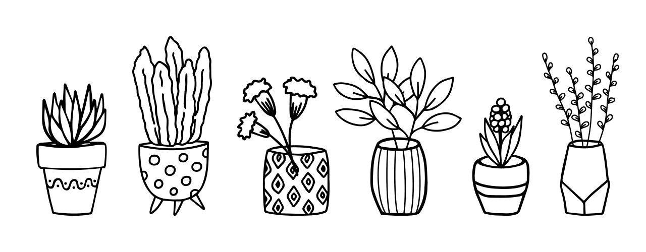Hand-Drawn Flowers in Pots Vector Image