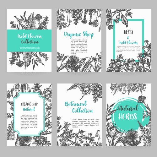 Hand Drawn Herbs & Wild Flowers Card Set Vector Image