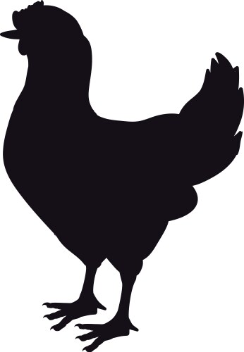 Farm Chicken Silhouette Vector Image