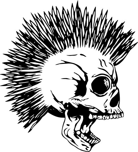 Punk Skull with Mohawk Vector Image