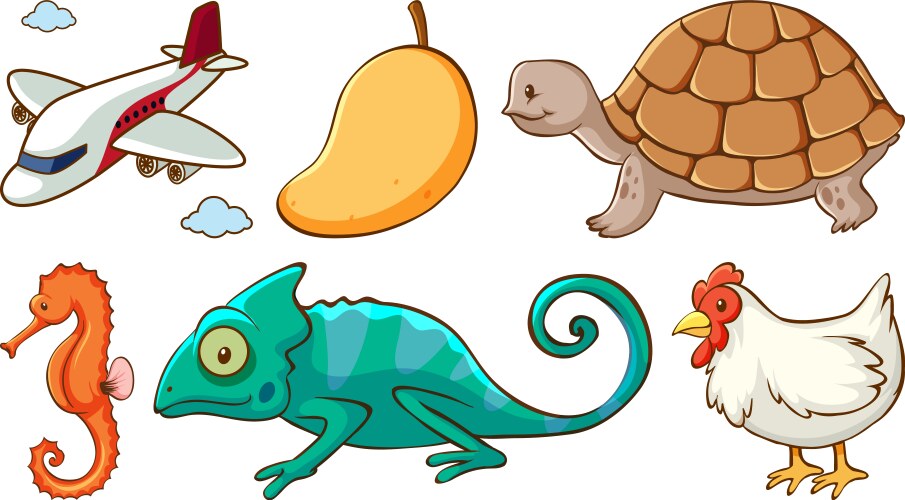 large set different animals and other objects vector